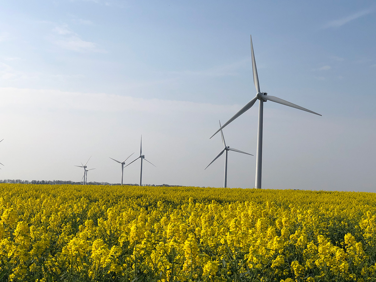 Turbines on a flower bed