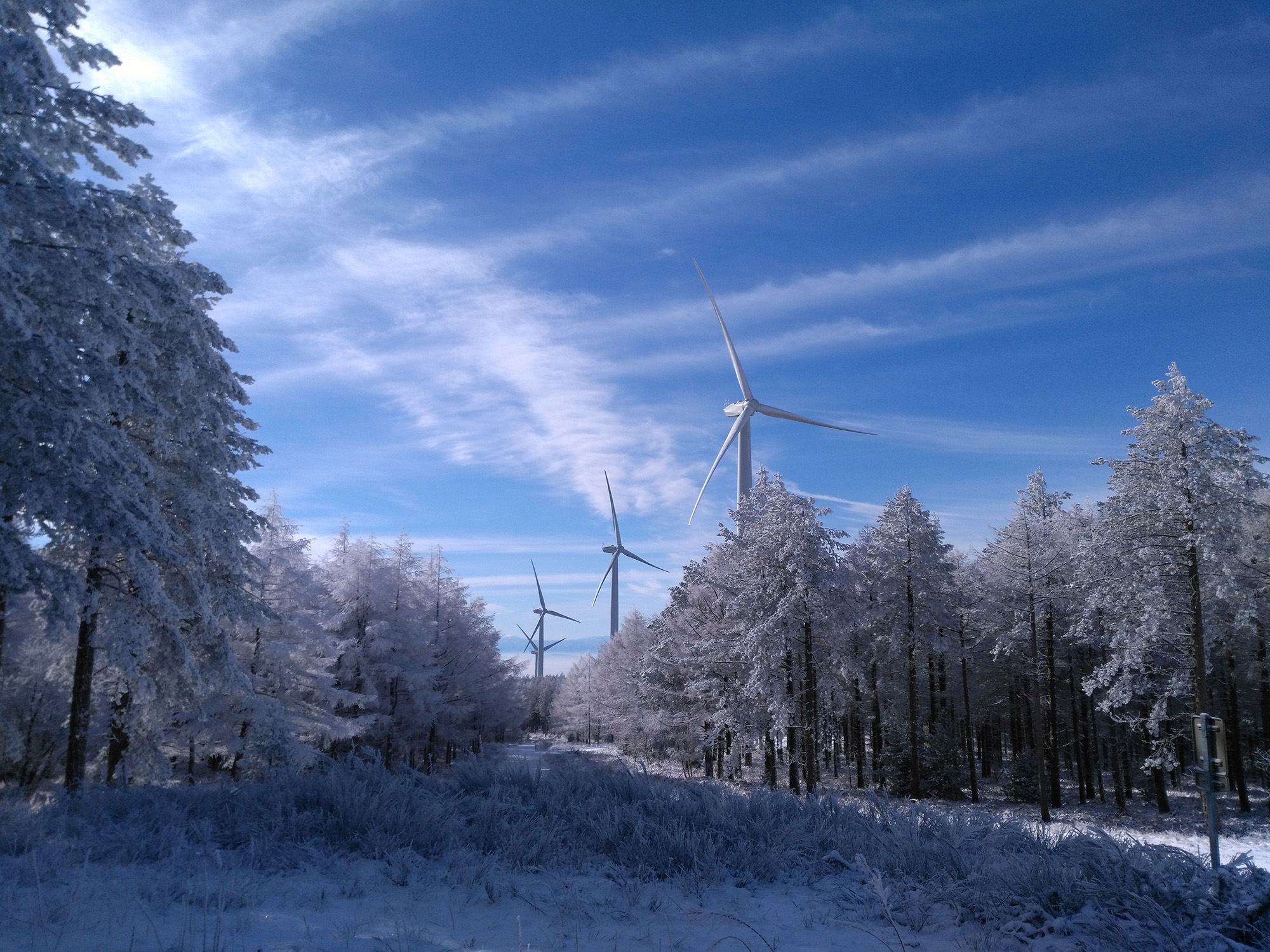 Wind turbine windfarm behind snow